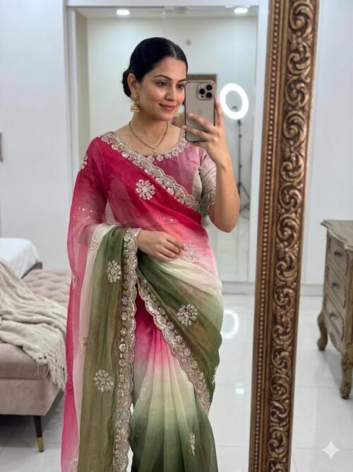 SPACE CHIFFON MULTI SEQUENCE SAREE