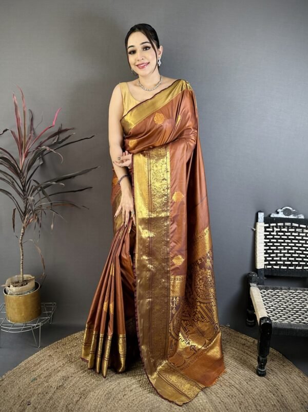 PREMIUM RAW MANGO SOFT SILK SAREE