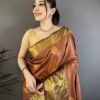 PREMIUM RAW MANGO SOFT SILK SAREE