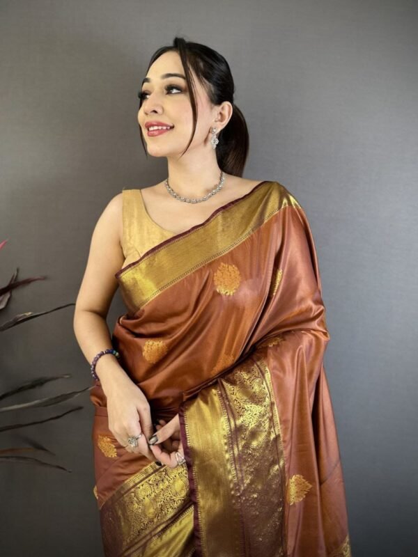 PREMIUM RAW MANGO SOFT SILK SAREE